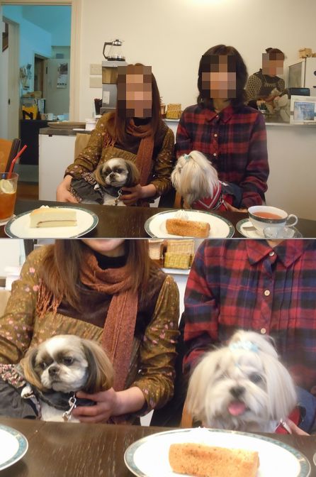 14.1124.5.jpg