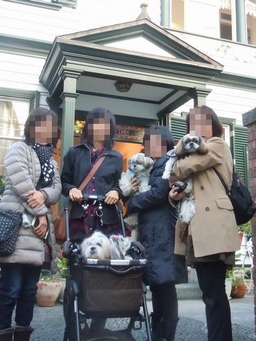 14.1124.9.jpg