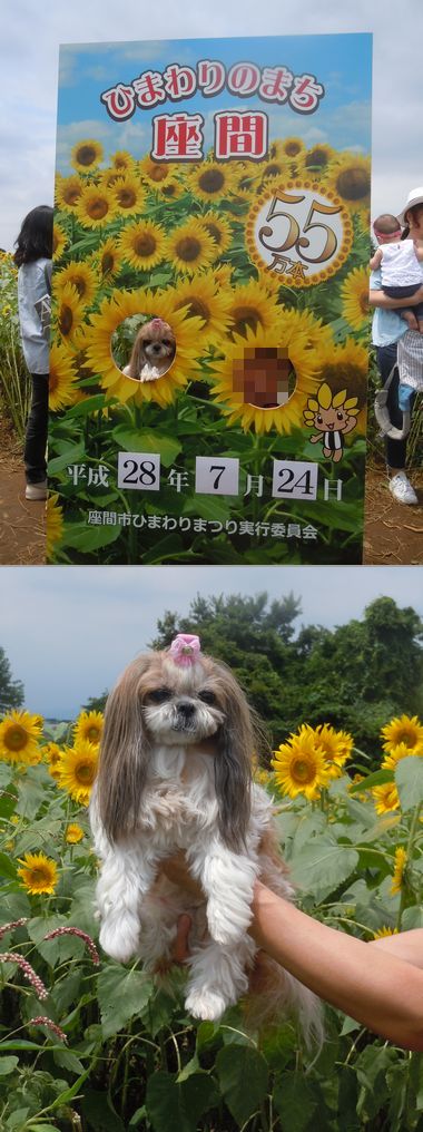 16.0724.5.jpg