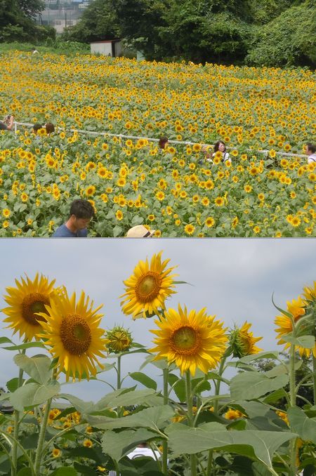16.0724.6.jpg