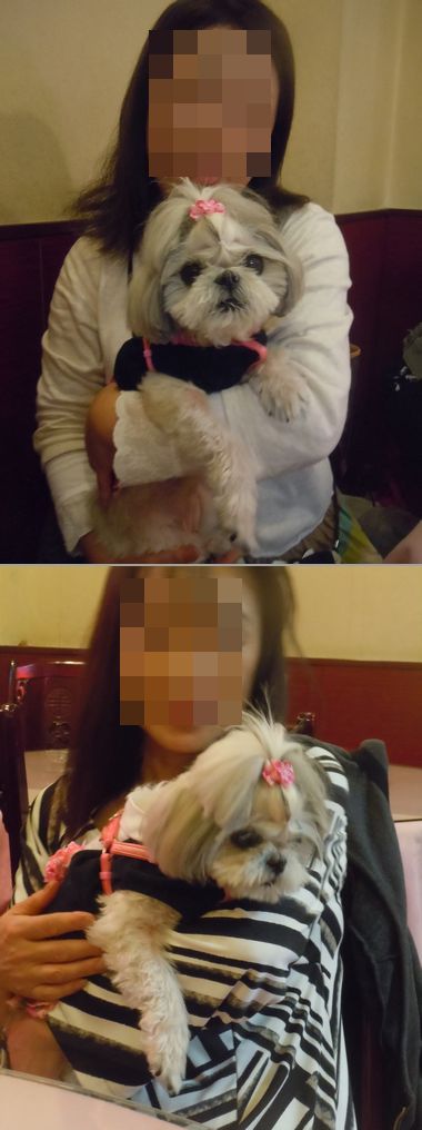 16.1023.7.jpg