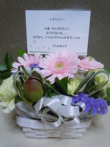 16.1228.3.jpg