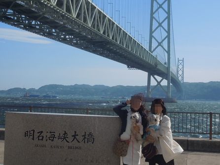 16.416.9.jpg