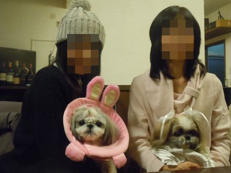 17.1202.6.jpg