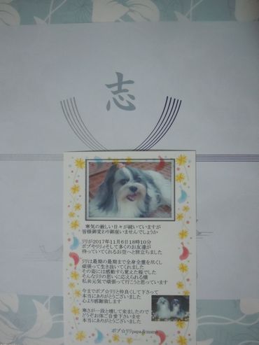 17.1212.1.jpg
