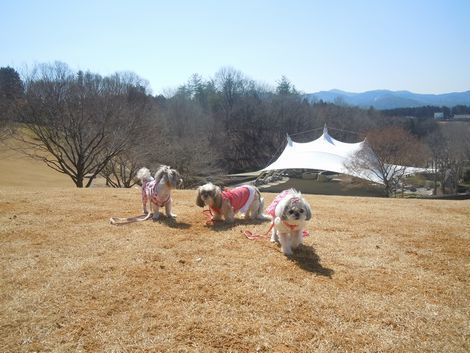 19.0318.4.jpg