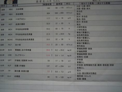 19.1221.4.jpg