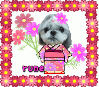 ルネ　秋桜.png